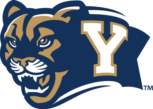 Brigham Young Cougars 2005-2014 Alternate Logo custom vinyl decal