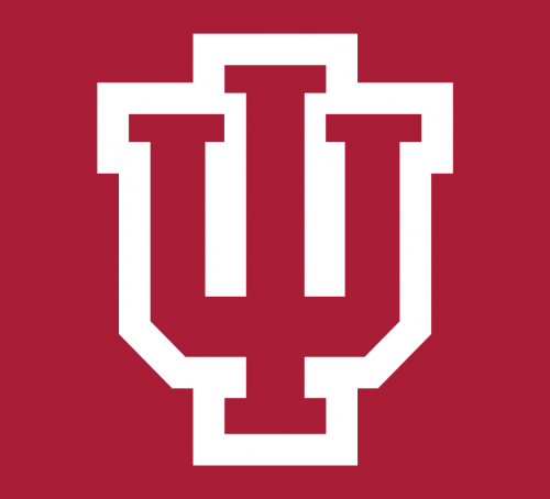 Indiana Hoosiers 2002-Pres Alternate Logo 03 custom vinyl decal