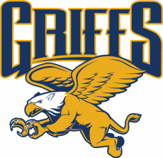 Canisius Golden Griffins 2006-Pres Alternate Logo 02 custom vinyl decal