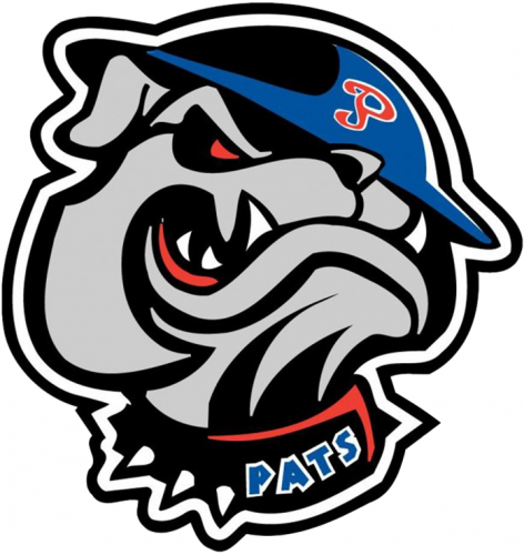 Regina Pats 2002 03-Pres Alternate Logo custom vinyl decal