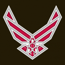 Airforce Houston Rockets Logo heat sticker