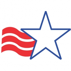 USA Logo 11 custom vinyl decal