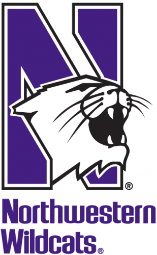 Northwestern Wildcats 1981-Pres Alternate Logo custom vinyl decal